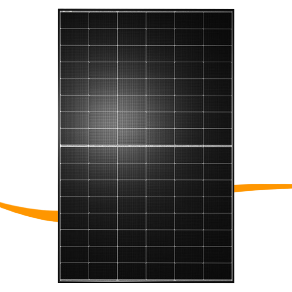 Heckert Zeus 1.1 96 M 460 Wp Performance (Glas-Glas)